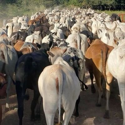 mohdiyay's profile picture. Aspire