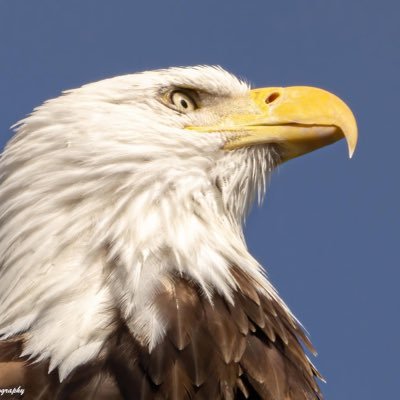 投資は、新NISAはS&P500全力で購入してます。特定口座はS&P500とNASDAQ100にしてます。8対2ぐらいの割り合いです。 私は、猫ちゃん🐈⬛とワンちゃん🐶が大好きです❤️DMは一切やりませんからね💟