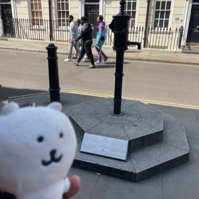 urbanseaotter's profile picture. academia. regional/urban studies @LSEgeography. (spatial)data analytics, voting behaviours and urban policy. same person @beingsince