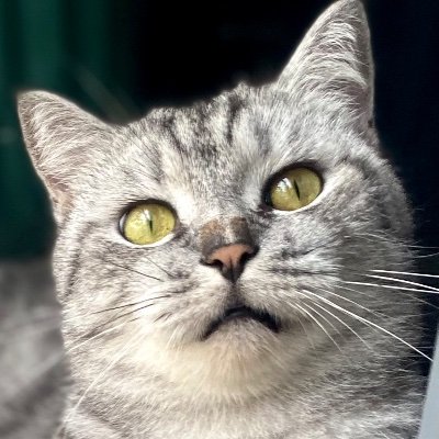 ThuyNgo244954's profile picture. 