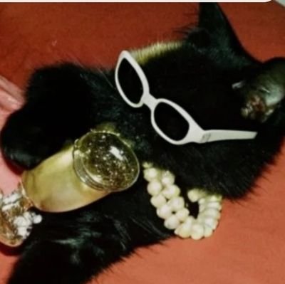 ____dontblameme's profile picture.