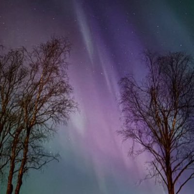 rrrrvdjpdnj's profile picture. rank1300👑100👑88 @pad_sexy