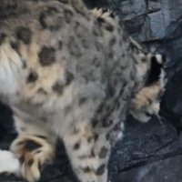 설표 (@sn4546920368714) Twitter profile photo