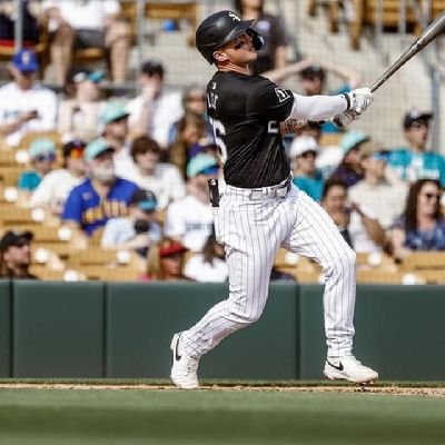 CHICAGO WHITE SOX 🧦
CALIFORNIA GOLDEN BEAR⏳
VI.XV.V.🐾
