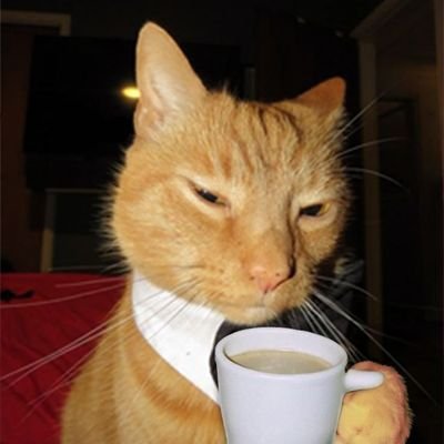 Surer0Alba's profile picture. am i making you feel sick?