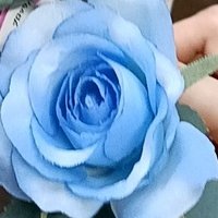 るきな (@qtt91445) 's Twitter Profile