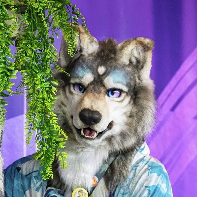 FaoWusky's profile picture. M31 / SH🇩🇪 / Mackenzie-Wolf (Therian) / Polarwolf-Husky (Furry) / Loves wolves and dragons (Shiron💙) / Inflatable & plush collector / My Setter: @Dragynus ❤️