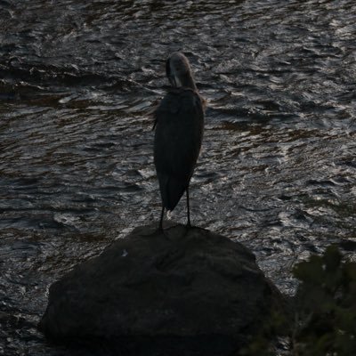 Ela4G2X1IU37149's profile picture. 