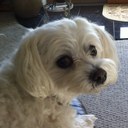 Steve McElroy - @stevemcelroy13 - Twitter