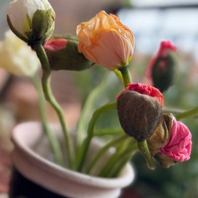 MudLittle's profile picture. Cloud Architect