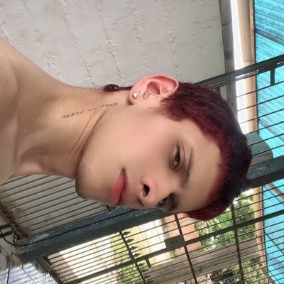 Privacy: https://t.co/pxyWJqq5ux Canal Prévias: https://t.co/pspcf1Gnk1