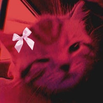 No sé que hago acá, pero les juro que soy buena onda • 24y • 🇦🇷 • she/her • esp/eng/pt