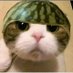 Meren Maneh (@manehmeren68790) Twitter profile photo Meren Maneh (@manehmeren68790) Twitter profile photo
