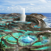 BakerPatri29238's profile picture. Professional who is building a sustainable farm in Vermont. Known for being optimistic, with personal interests in coding, teaching, photography.