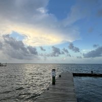 Tom (@tomsback24) 's Twitter Profile