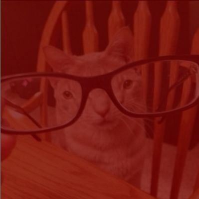 elliot_kn_'s profile picture. #HEXATOMBE
Oi :)
ele/dele - Transmasc artista ☝️🤓🫴🎨 - 20xp