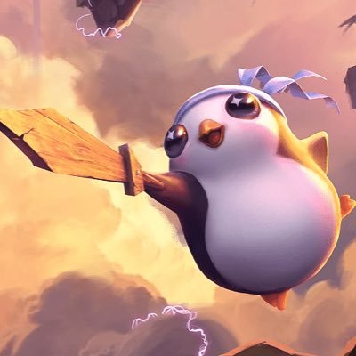 Samwangxin's profile picture. 