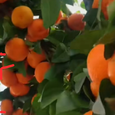 AjidagbaK45333's profile picture. 