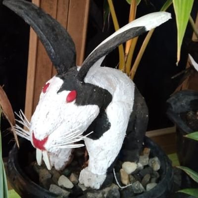 isoku82may's profile picture. Aries