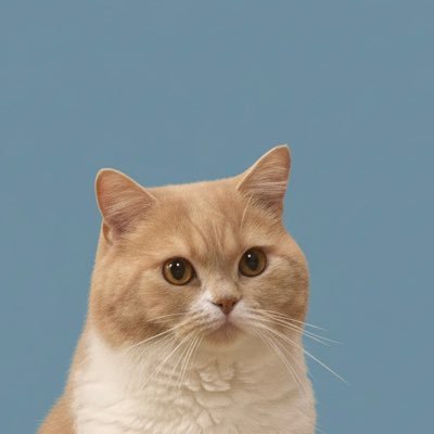 i_conacona's profile picture. 