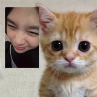 anees (@ansfaqihah) 's Twitter Profile