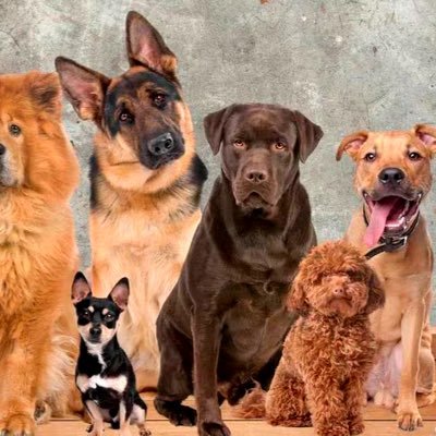 jesus_oldm88269's profile picture. 