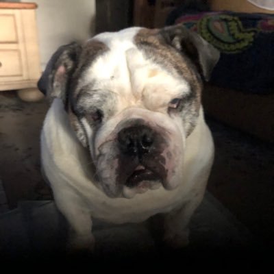 trashmanglenn's profile picture. NJ ACO If this is what happens when God is looking out for us, I'd hate to see Him pissed. Defund The Media FJB Let’s go Brandon MAGA Trump 2024 Cityzens Union