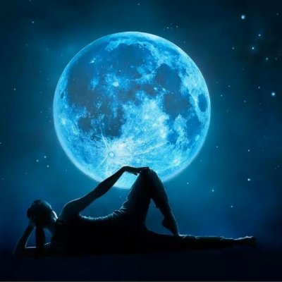 VineshRaj239's profile picture. 
