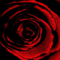 ADAM-SITES (@adamsites99) 's Twitter Profile Photo