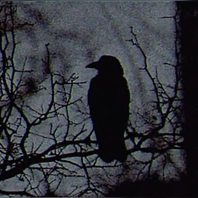 poppiolus's profile picture. • she/her • leo/intj • rpf/rps • multi-fandom/mainly skz • writes and draws sometimes • nsfw content/minors dni