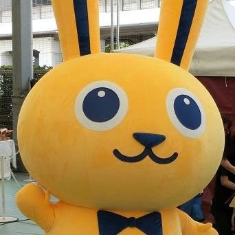 3A41650's profile picture. 対決よりも解決 2024年衆議院議員選挙から国民民主党支持にたけのこの里派#国民民主党 #国民民主党支持者とつながりたい