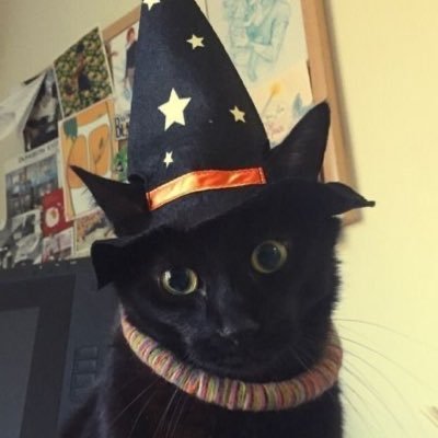 ifb all 1̲8̲+̲ e̲d̲t̲w̲t̲ 🎃 please have age in bio or pinned!! 🦴 23 ★ -9,5kg 🐈⬛