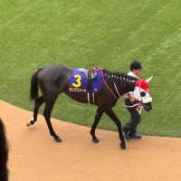 𝕤𝕥𝕒𝕣𝕔𝕝𝕞 (@starclm) 's Twitter Profile Photo