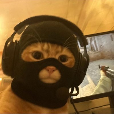 e3_q0x's profile picture. 