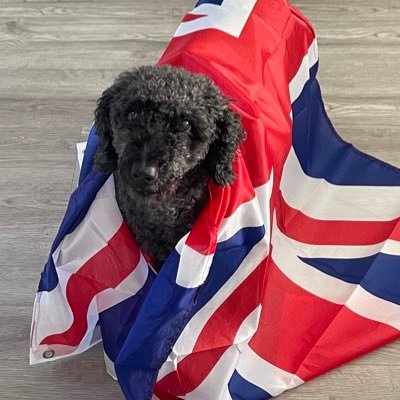 erehoss36212's profile picture. Realist