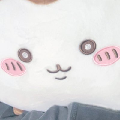 yd6ql's profile picture. 