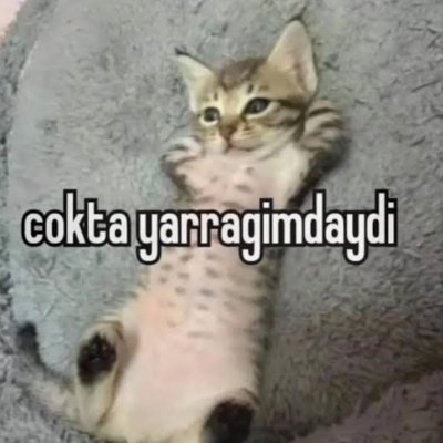 Otomotiv Mühendisi 🇦🇿
Türklüktür elbette en yüce ülkü,
Neyleyim 'Tanrı uludur' demeyen Türk'ü!