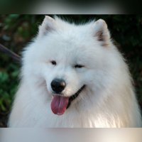 ふじの🤍🕰️ (@fujino52879) 's Twitter Profile Photo