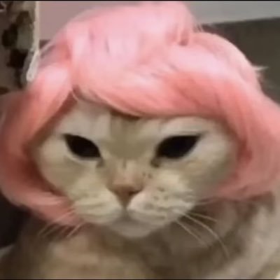 huang renrina que ama gatinhos e vai ver o piwon! ; 2NE1’s First Album “To Anyone” (2010)