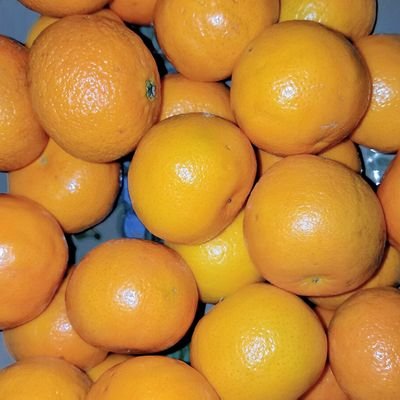名前変えたいの人さんのプロフィール画像