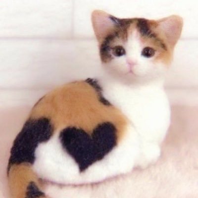 xanieloves's profile picture. fan account