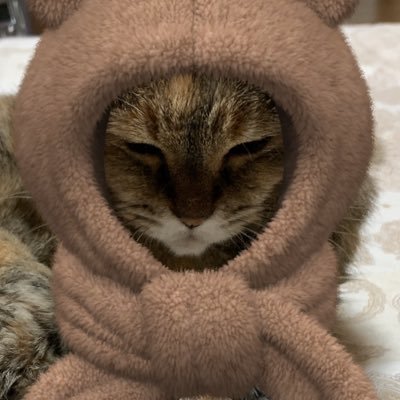 xxx_31tt's profile picture. 動物と美容