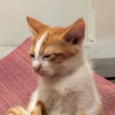 1312