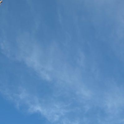 ユエルンさんのプロフィール画像