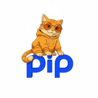 pipcat (@pipcat0) 's Twitter Profile
