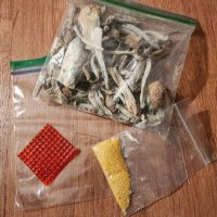 Home Of Psychedelics (@psyched52523) 's Twitter Profile