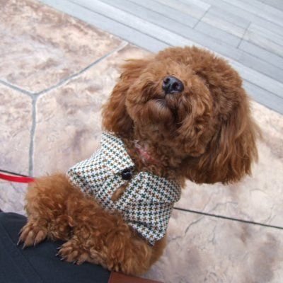 mofuo37's profile picture. ❌DM❌　#犬猫好き 本垢 @spanner388
もフォロー宜しくお願いします。