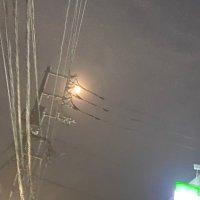 めろ (@4z8hro2dgv96978) 's Twitter Profile
