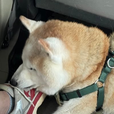 agjmwtdjmw's profile picture. 