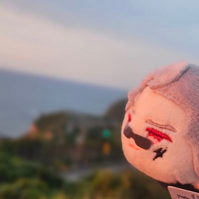 h__a___r___u__'s profile image